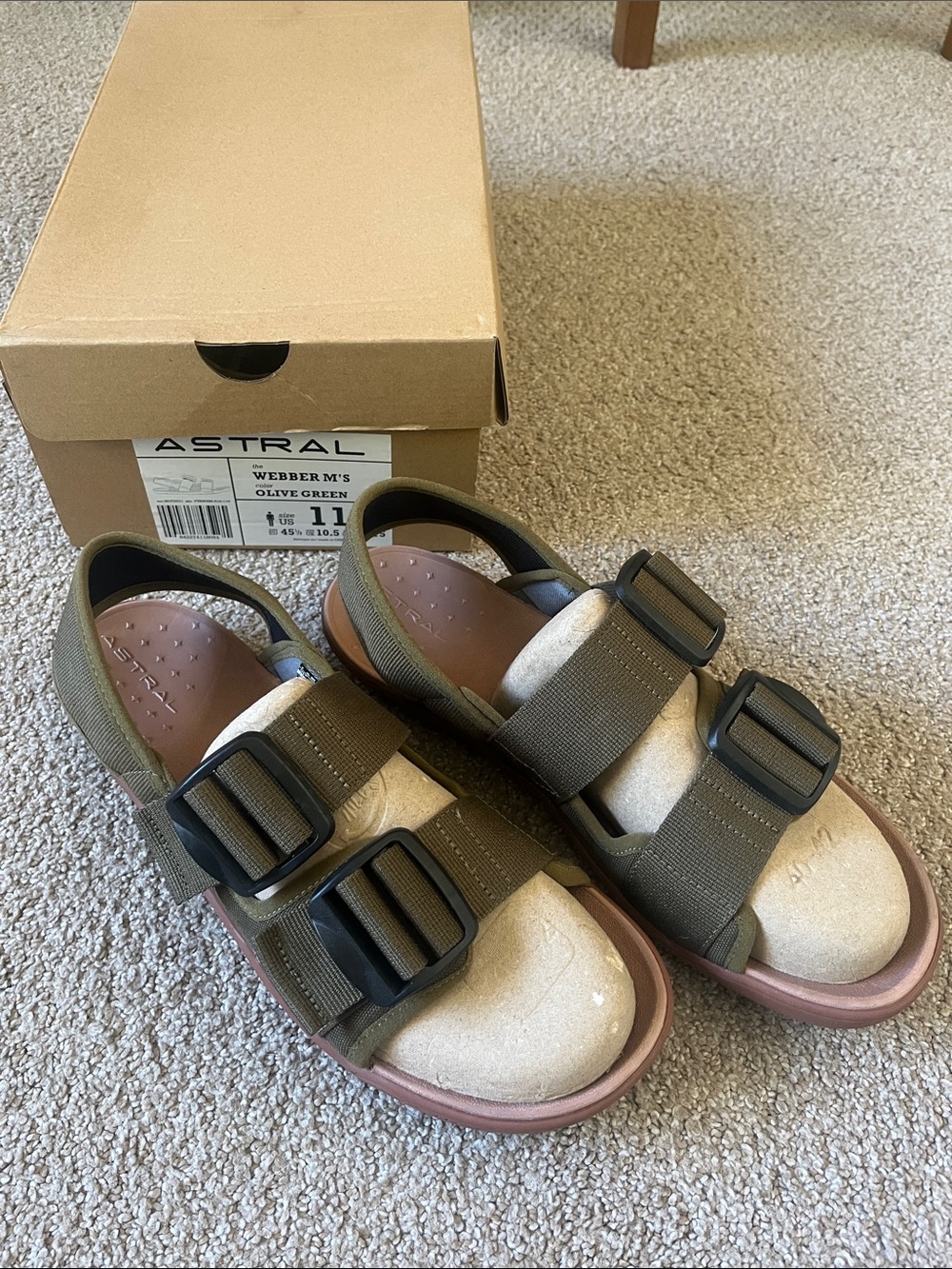 Astral Webbers Men Olive Green Sandals with Black Buckles
